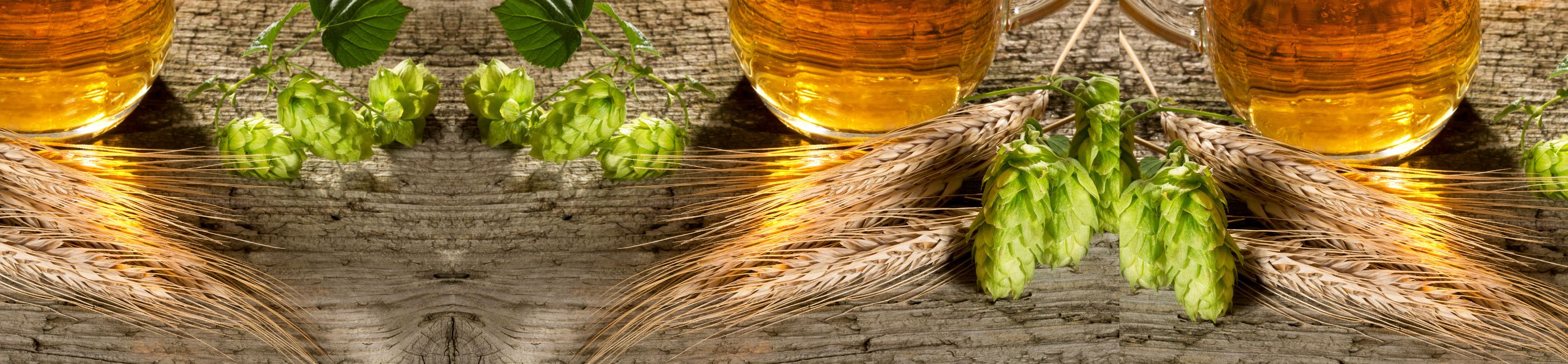 Ingredients | Natural hops and cocoa butter soap bar for dry skin