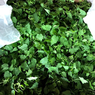 2020-Growing-Season-in-review by Stormy Acres | All-natural soap for sensitive skin