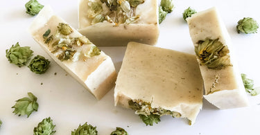 Hops-The-Secret-Super-Ingredient-for-Skin-loving-Soap by Stormy Acres | All-natural soap for sensitive skin