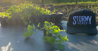 Our-Plants by Stormy Acres | All-natural soap for sensitive skin