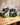 Stormy Acres boxes Hop Soap and Beer Soap