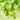 Cashmere Hops by HOP Shop | All-natural soap for sensitive skin