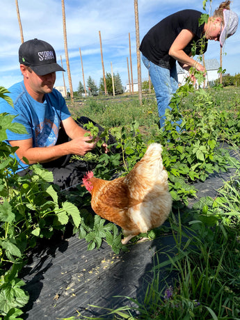 Commitment | Farm-fresh hops soap for eco-conscious skincare