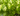 Hand-harvested hops for skincare products