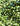 Section of field | Promoting eco-friendly hops soap