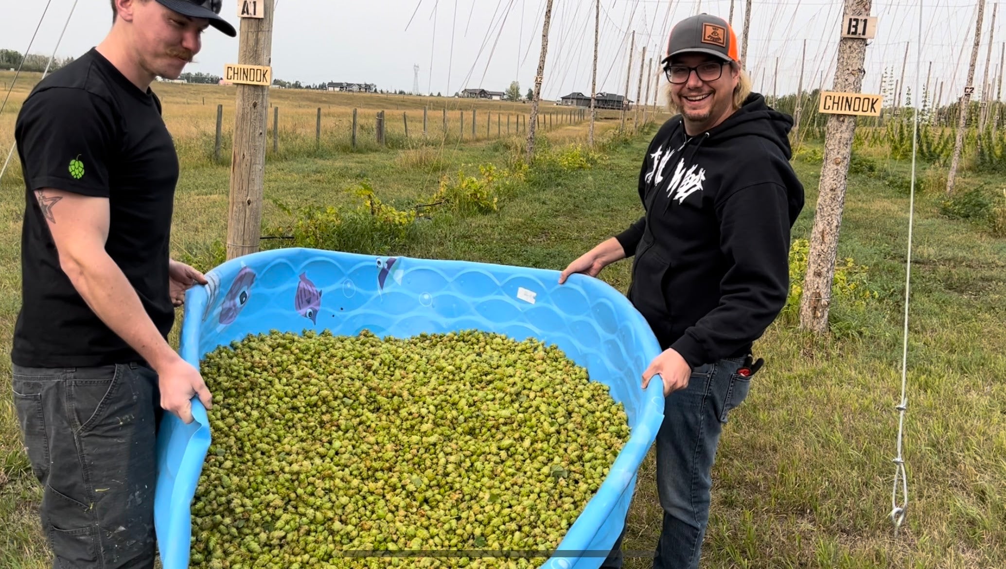 Bold new beer | Handcrafted hops-based soap