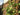 Stormy Acres Canadian farm showcasing hops cultivation